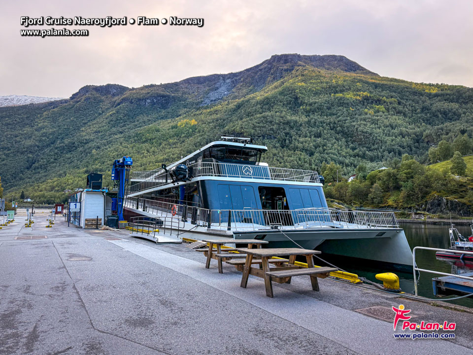 Fjord Cruise Naeroyfjord